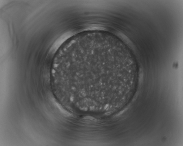 X0000113851321200910221410