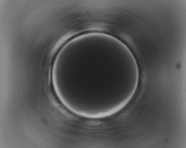 X0000113851323200910221410