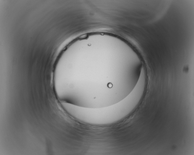 X0000113851324200910221410