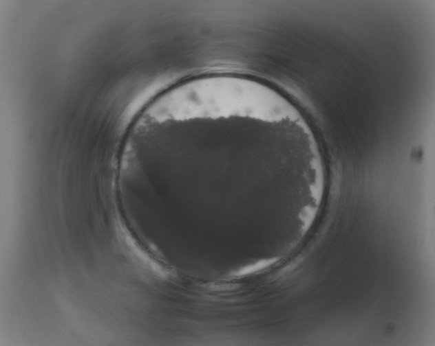 X0000113851325200910221410