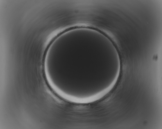 X0000113851327200910221410