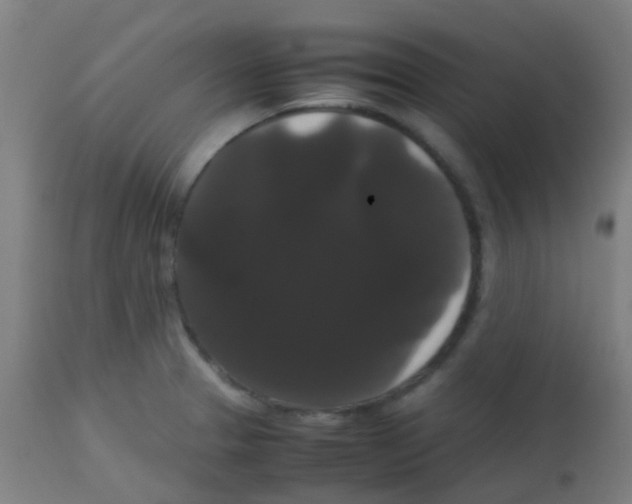 X0000113851329200910221410