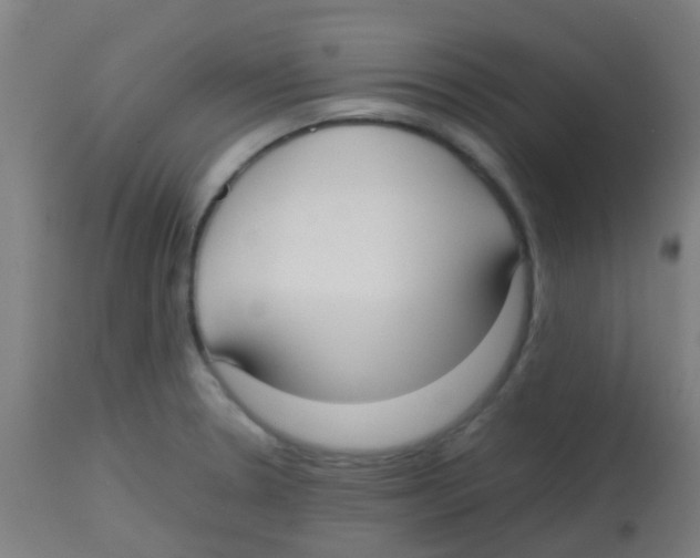 X0000113851330200910221410