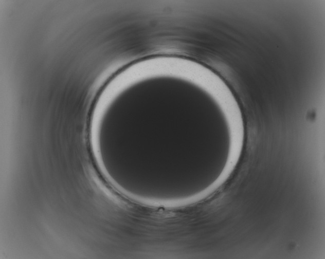 X0000113851331200910221410