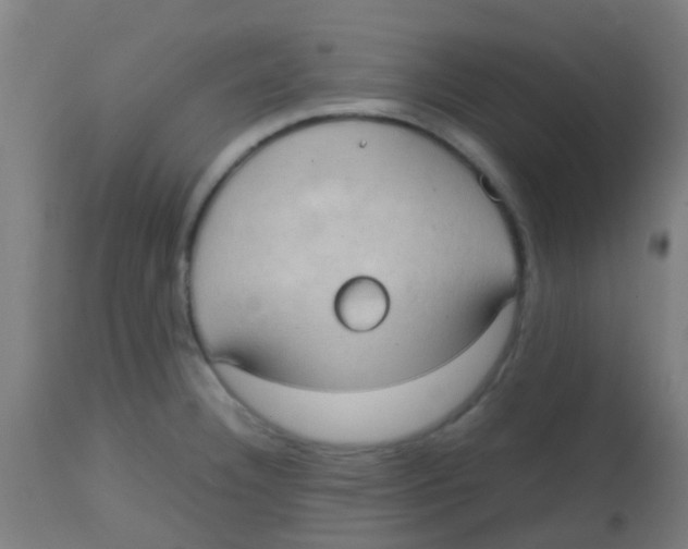 X0000113851332200910221410