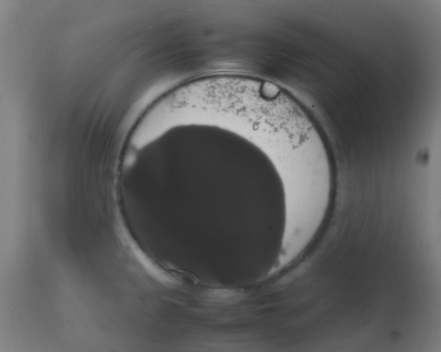 X0000113851333200910221410