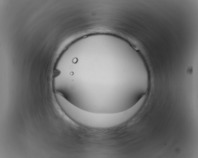 X0000113851334200910221410