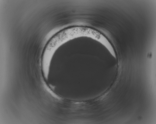 X0000113851335200910221410