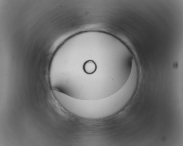 X0000113851336200910221410