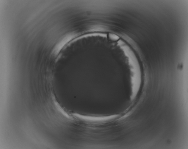 X0000113851337200910221410