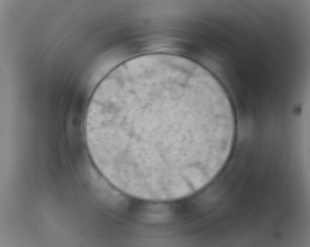 X0000113851338200910221410