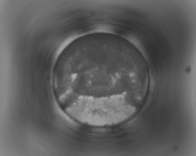 X0000113851339200910221410