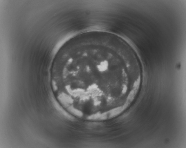 X0000113851341200910221410