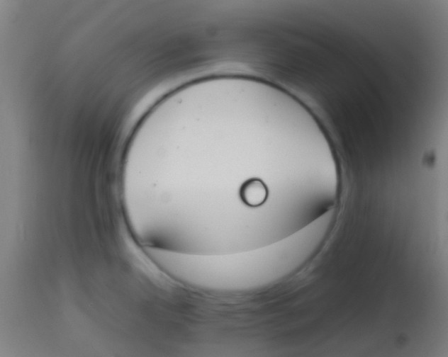 X0000113851342200910221410