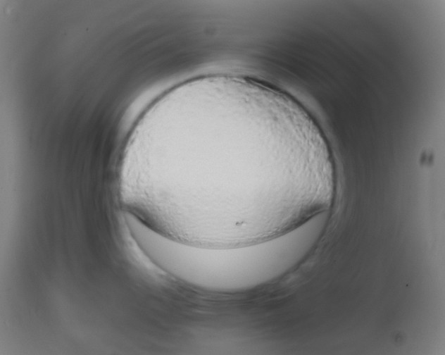 X0000113851344200910221410