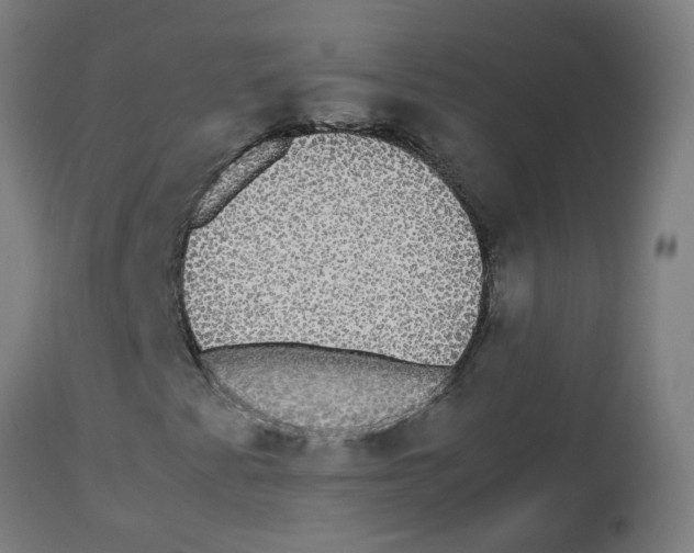 X0000113851345200910221410