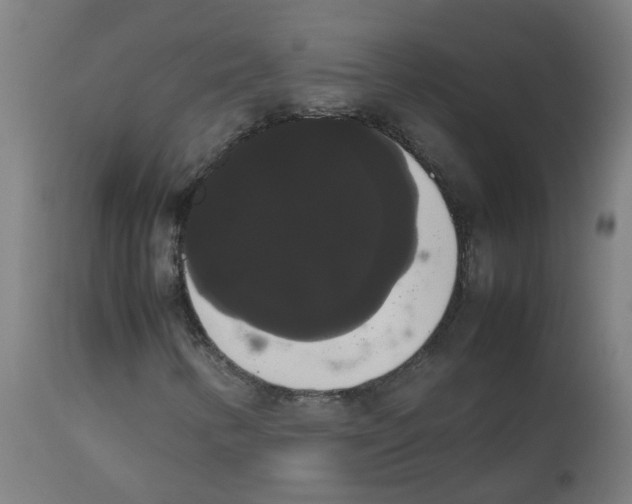 X0000113851346200910221410