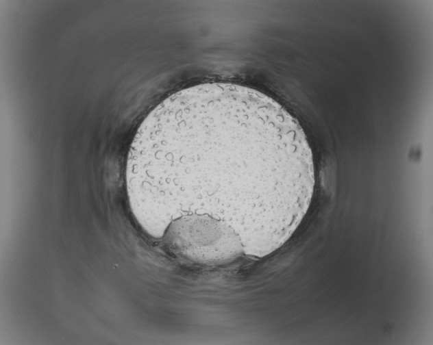 X0000113851347200910221410