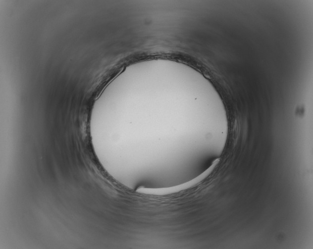 X0000113851348200910221410