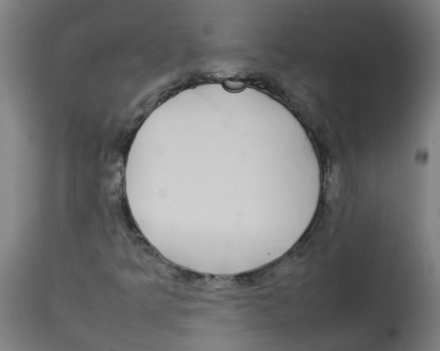 X0000113851349200910221410