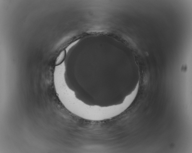 X0000113851350200910221410