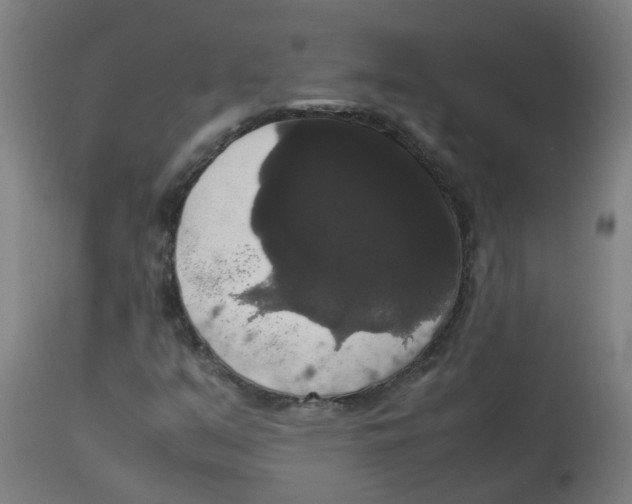 X0000113851351200910221409