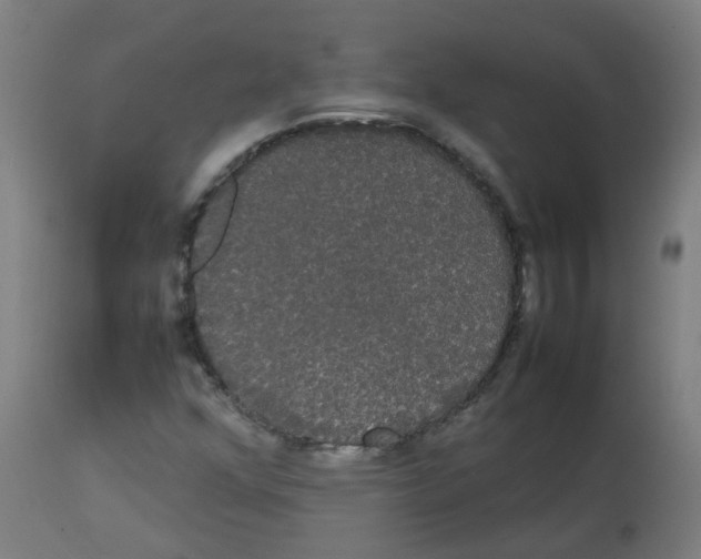 X0000113851352200910221409