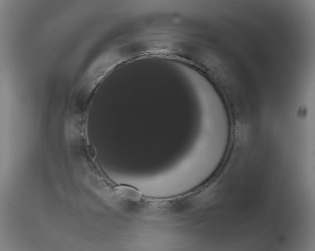 X0000113851353200910221409