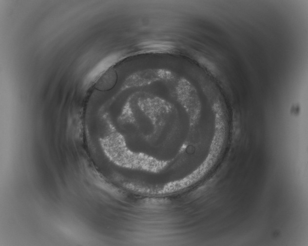 X0000113851354200910221409