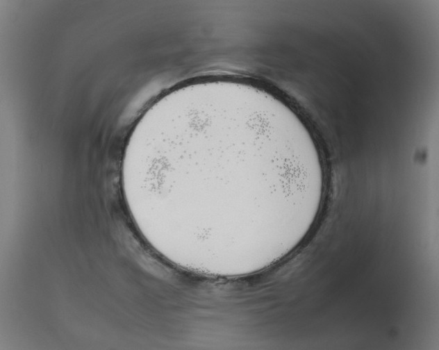 X0000113851355200910221409