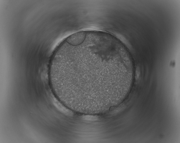 X0000113851356200910221409