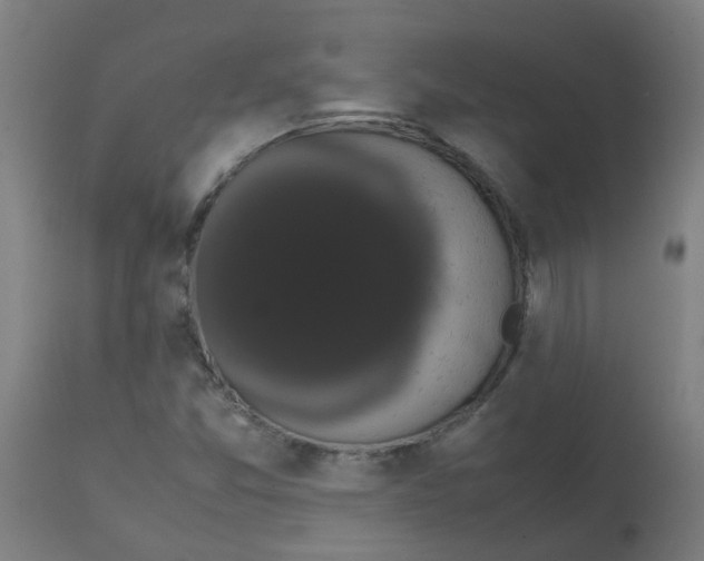 X0000113851357200910221409