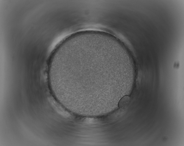 X0000113851360200910221409