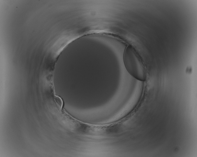 X0000113851361200910221409