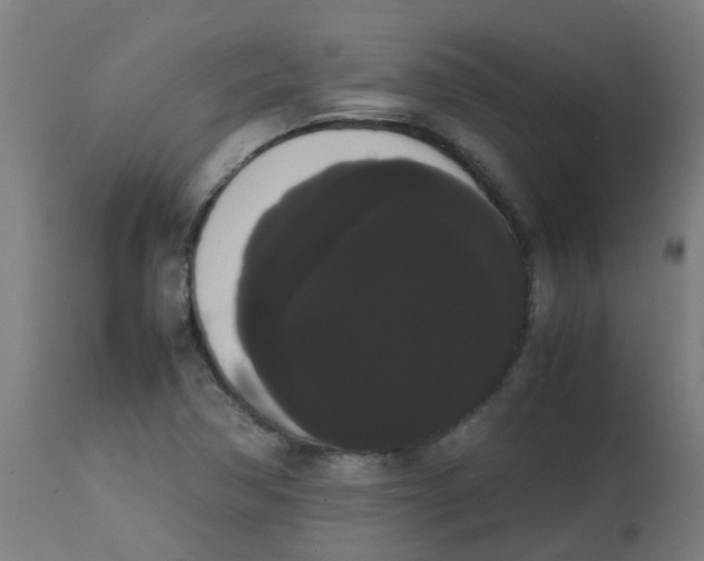 X0000113851362200910221409