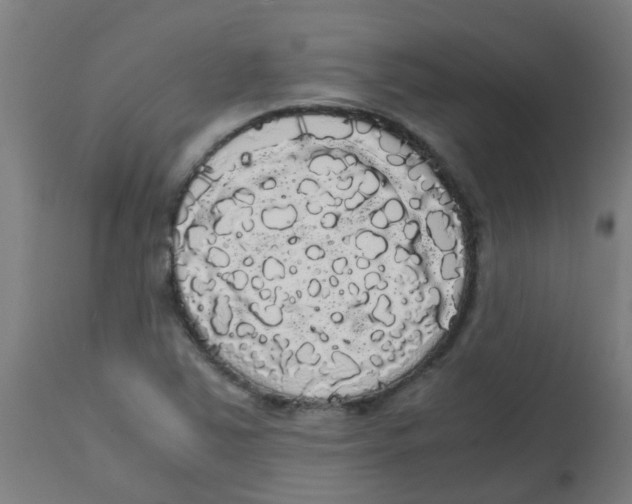 X0000113851363200910221409