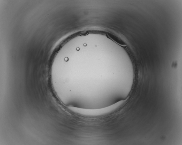 X0000113851364200910221409