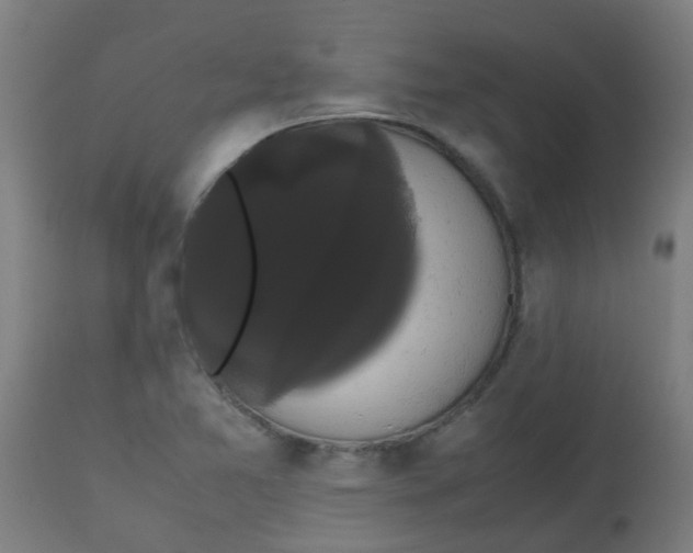 X0000113851365200910221409