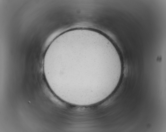 X0000113851366200910221409