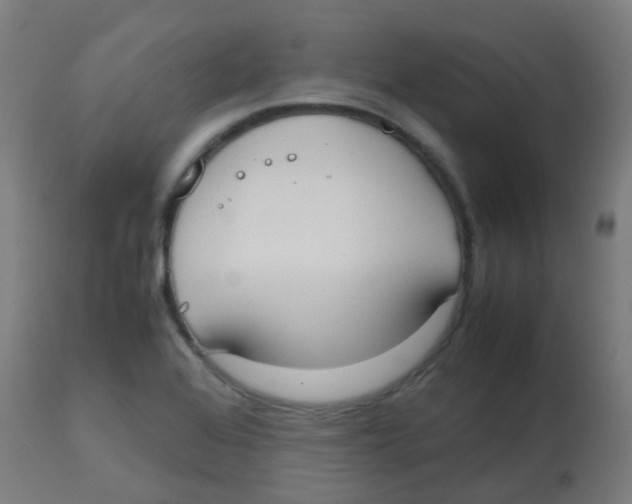 X0000113851368200910221409