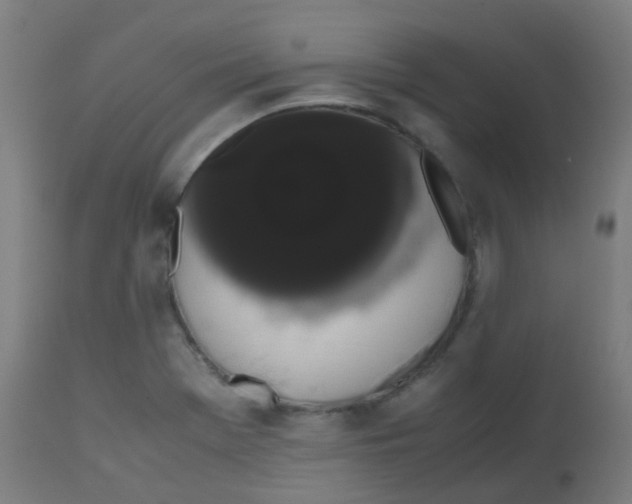 X0000113851369200910221409