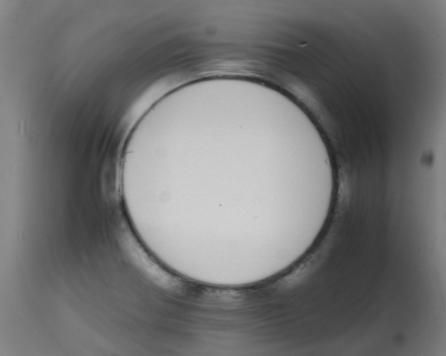 X0000113851370200910221409