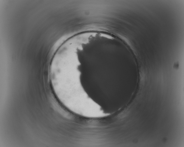 X0000113851371200910221409