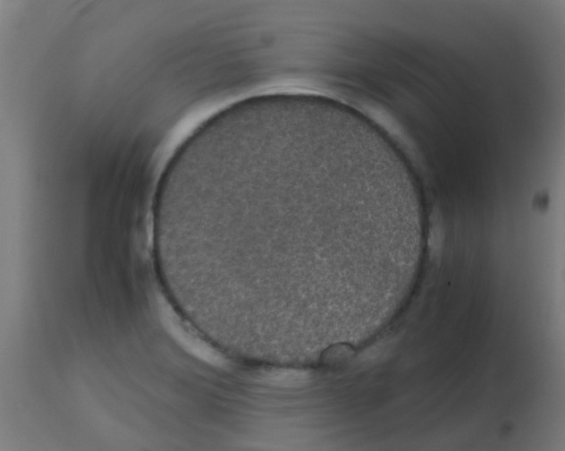 X0000113851372200910221409