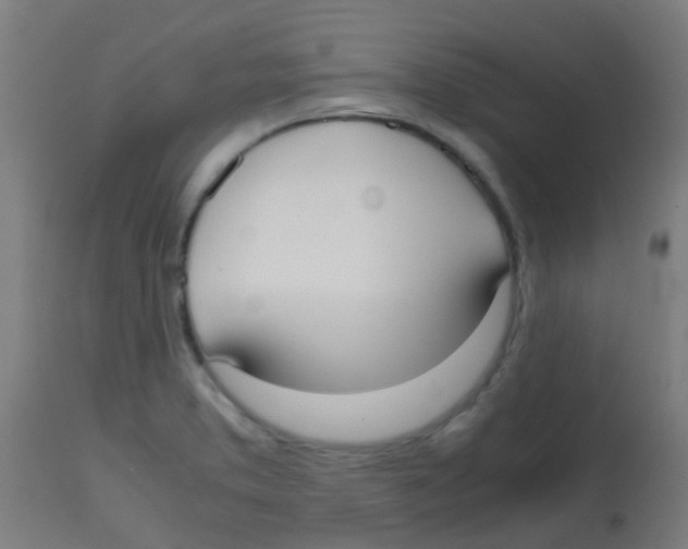 X0000113851373200910221409