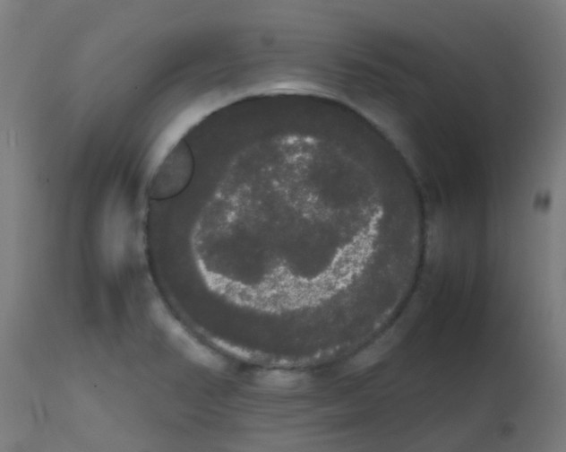 X0000113851374200910221409