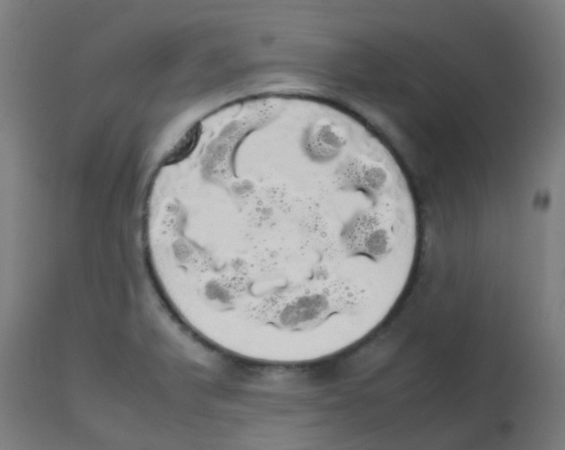 X0000113851375200910221409