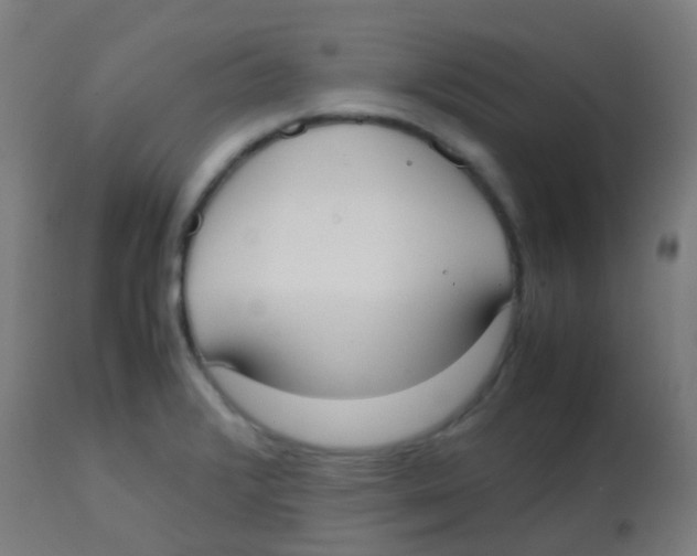 X0000113851376200910221409