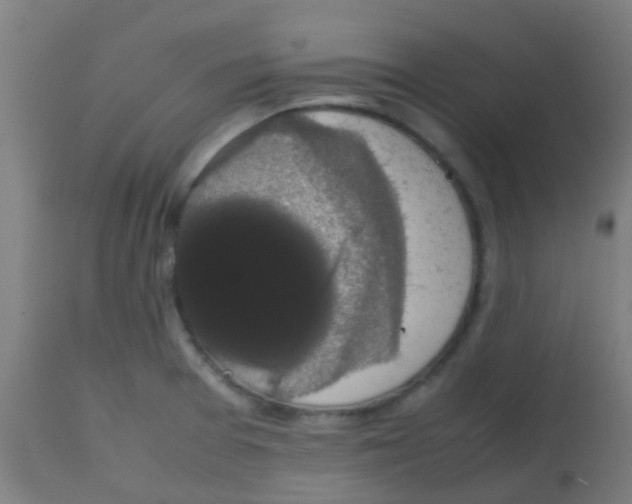 X0000113851377200910221409