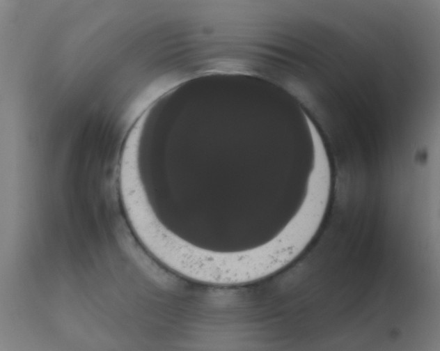 X0000113851378200910221409